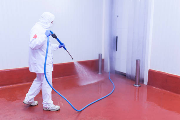 Pre-Holiday Cleaning in Fairview, NJ